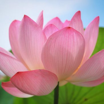 What I have realised after Practising Buddhism