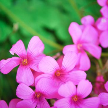 要做一个了得起的人