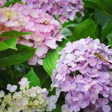 纪念对世界人类有贡献的先人