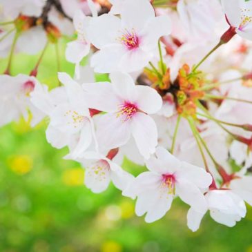 善恶念头都要净化