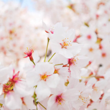 要启发人的善根