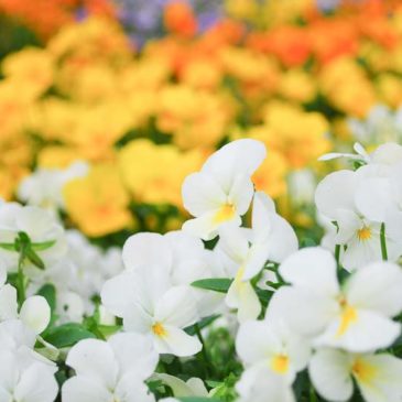 懂地理风水不迷信堪舆