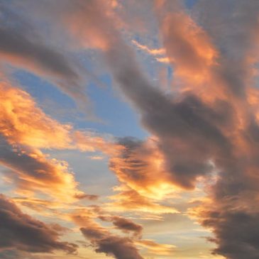 要学菩萨四种精进法