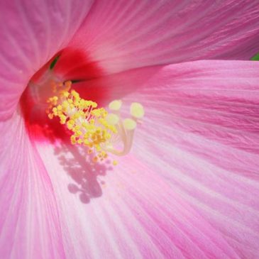 人乘佛教的涵义