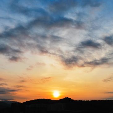 修禅与修净到最终的目的是不是一样