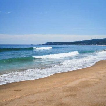 一门深入到彼岸