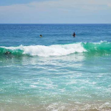 出家度众功德无量