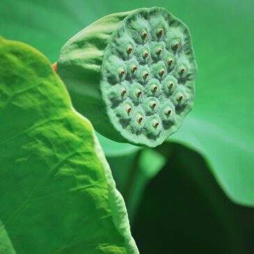 修得好不好？