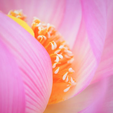 要保持清洁卫生